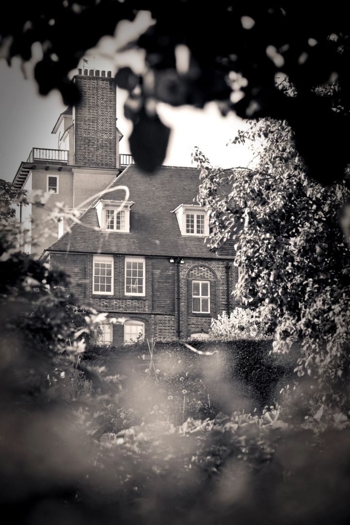 Standen through the Leaves