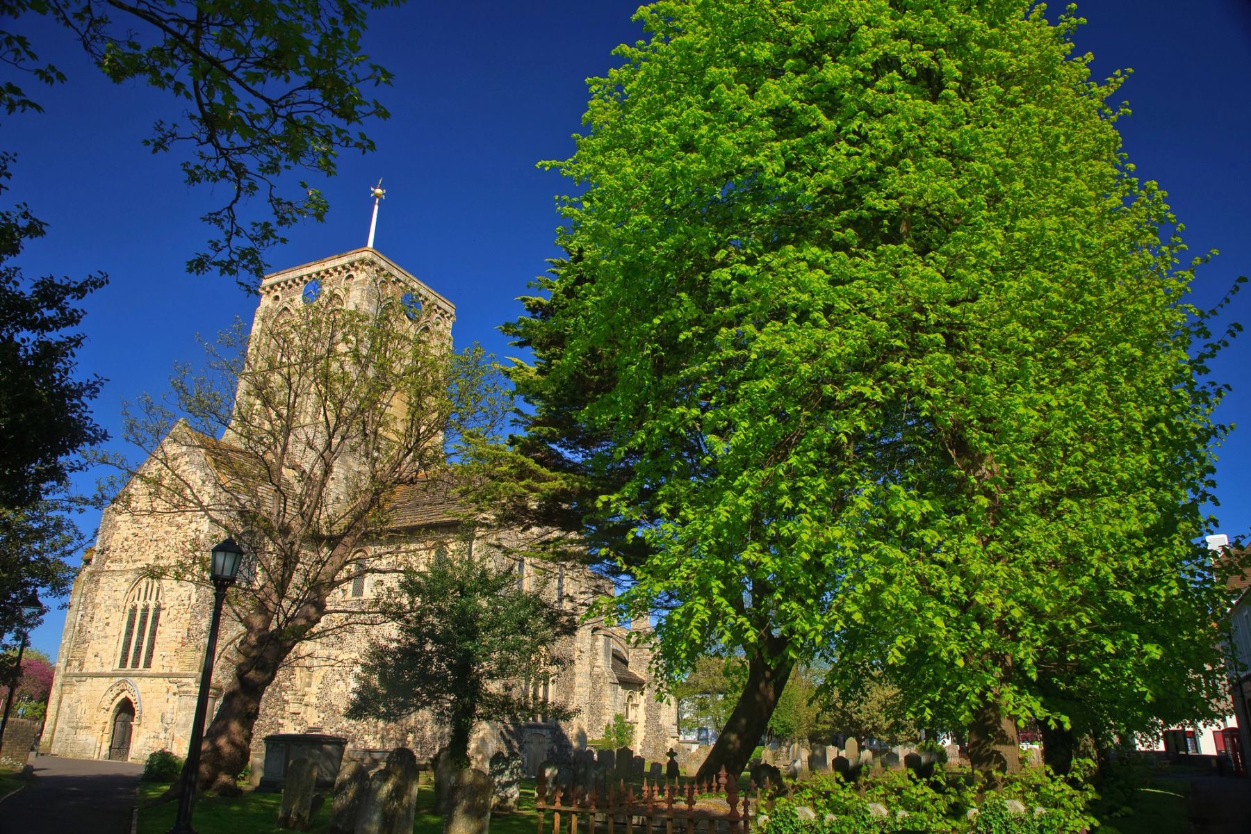 Spring Green at St Mary's, Shoreham-by-Sea