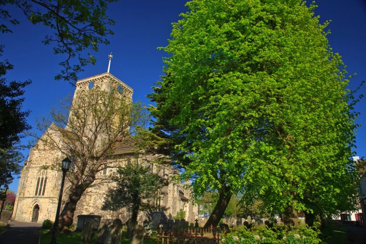 Spring Green at St Mary's
