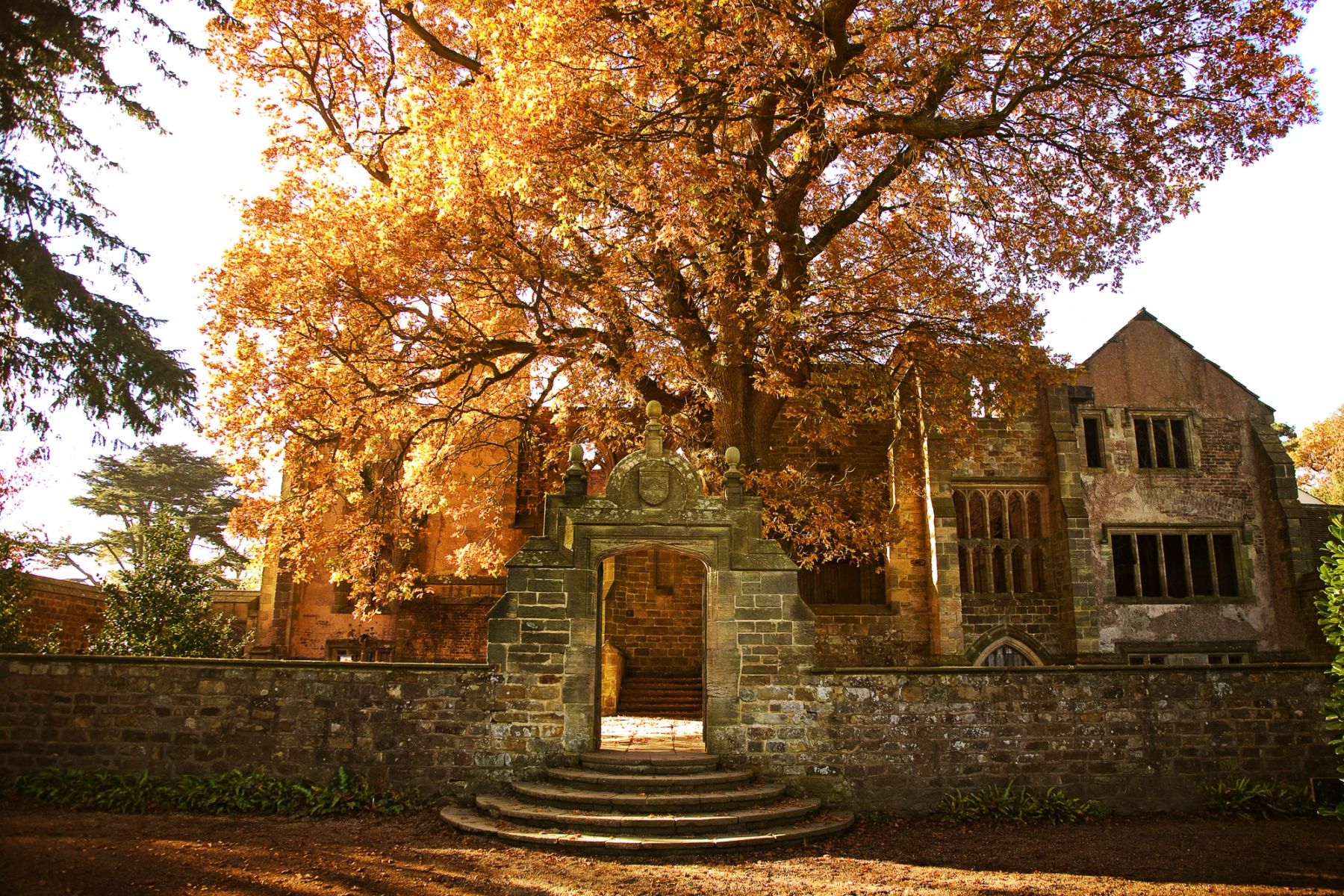 Autumn at the Ruins, Handcross, West Sussex