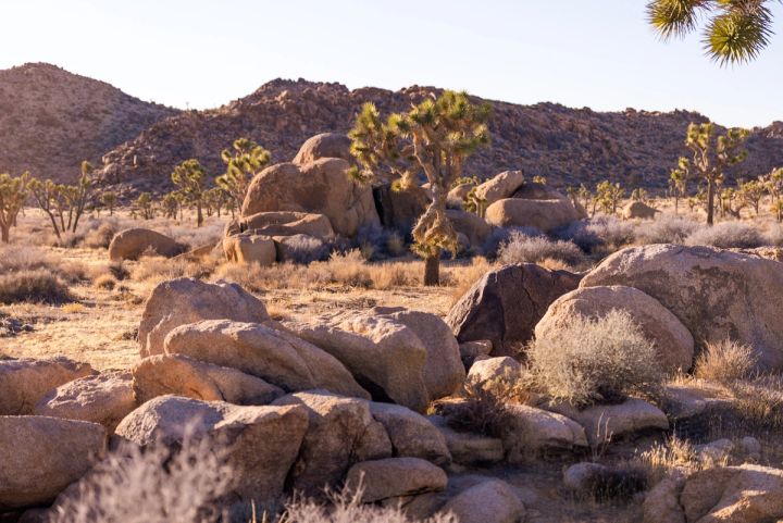 Boulder Field