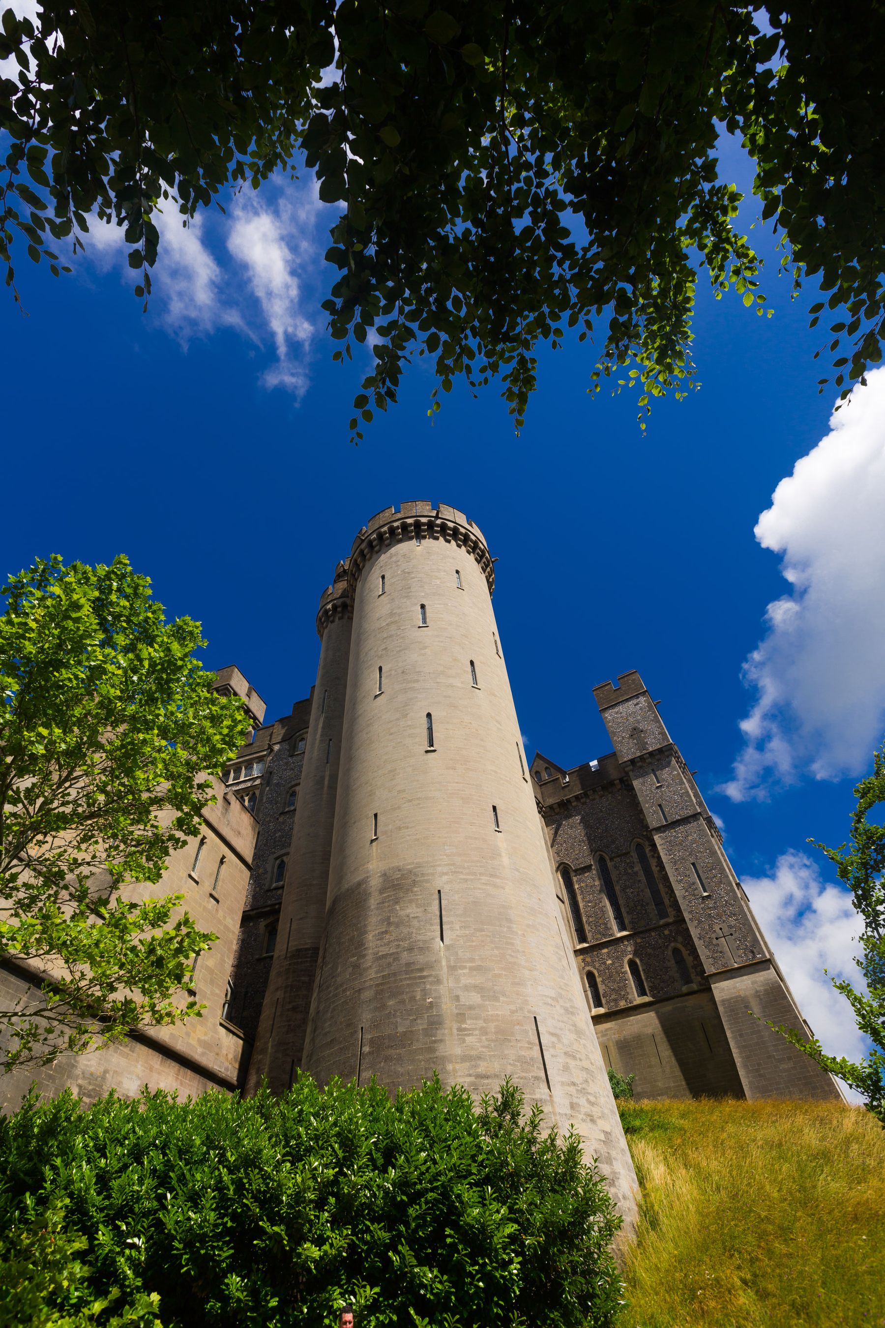 Tower through the Leaves, Arundel