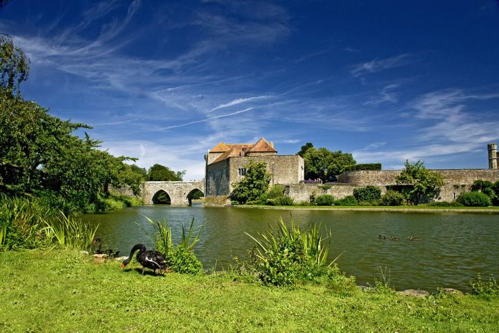 Black Swan at the Gatehouse