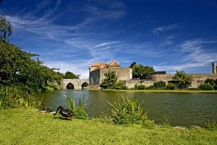Black Swan at the Gatehouse
