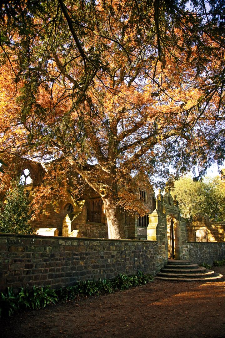 The Garden Wall in Autumn