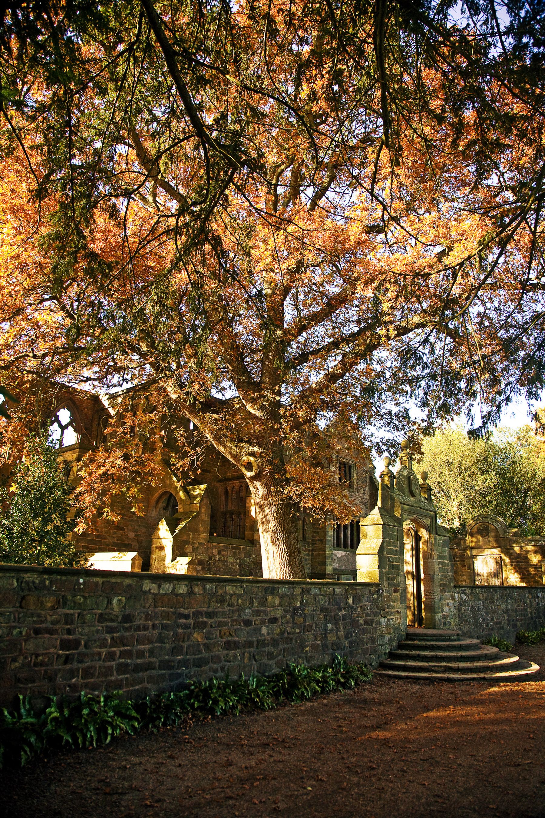 The Garden Wall in Autumn, Handcross, West Sussex