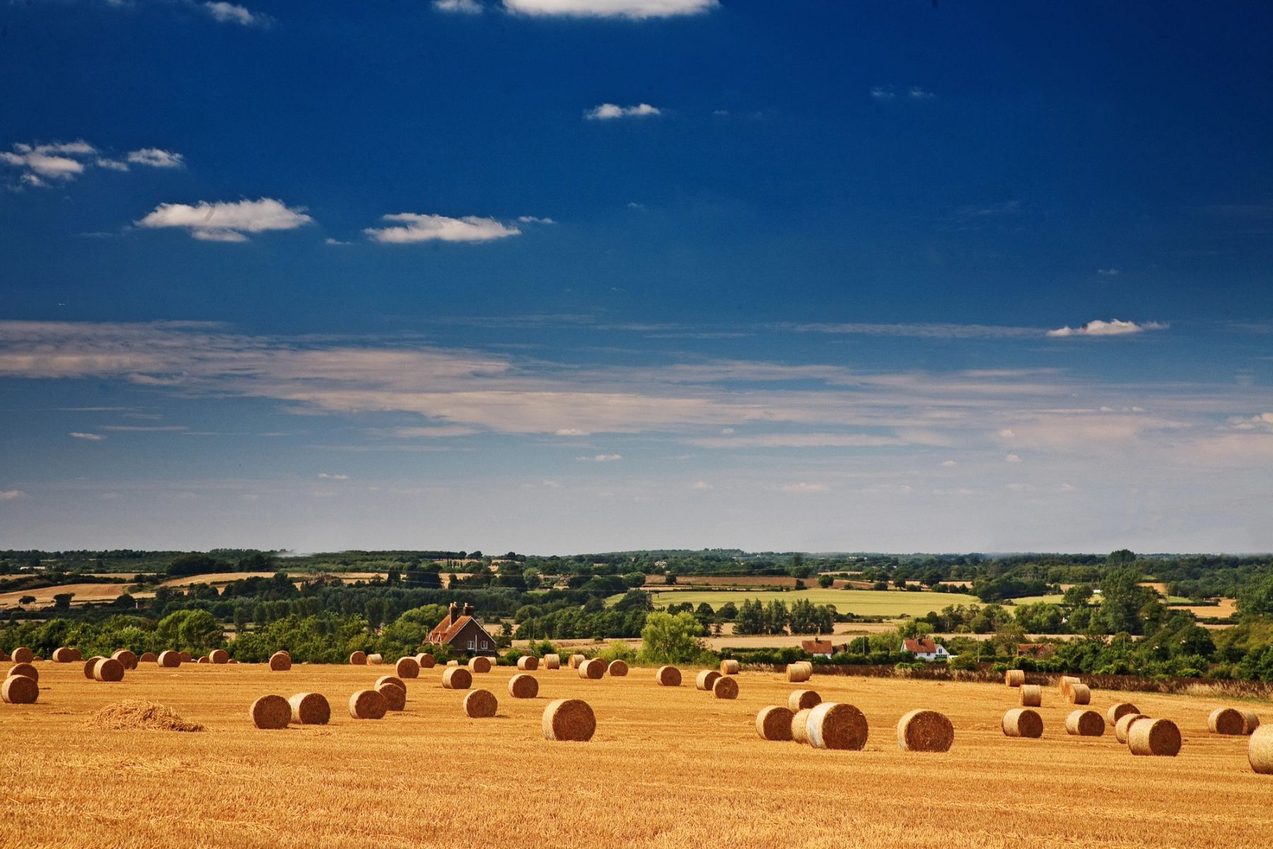 Scattered Bales, Sussex