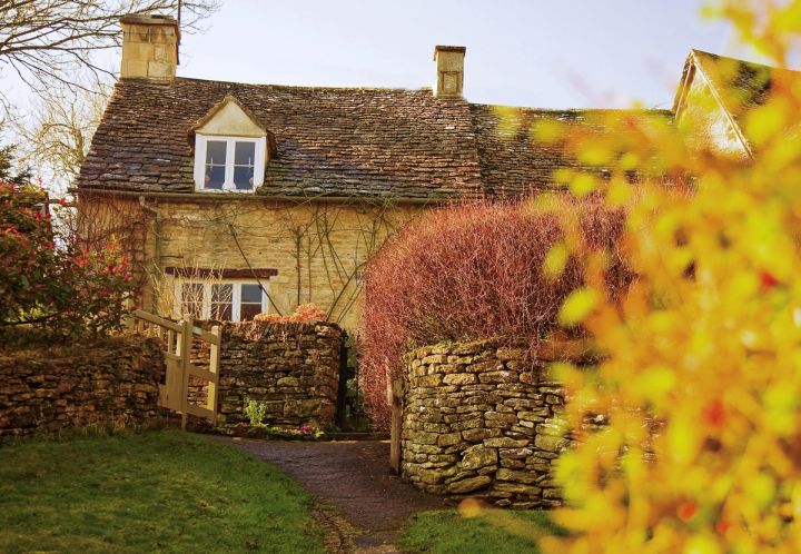 Cottage Garden