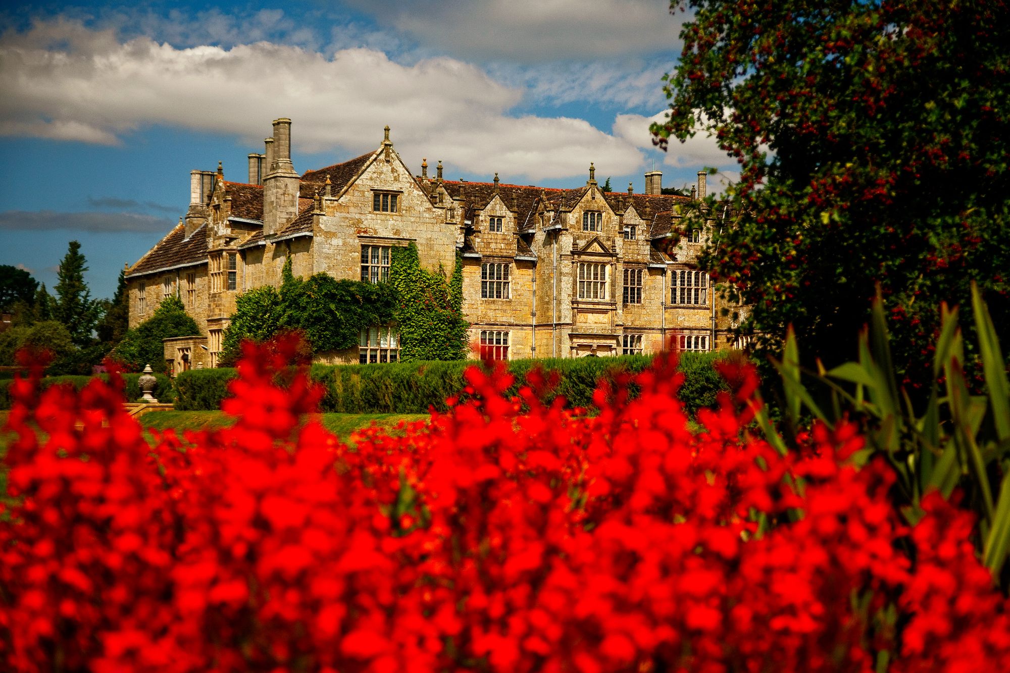 Wakehurst Place – photography print by Scott Wright