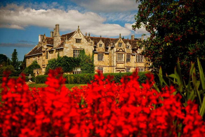 Red Blooms and the Mansion