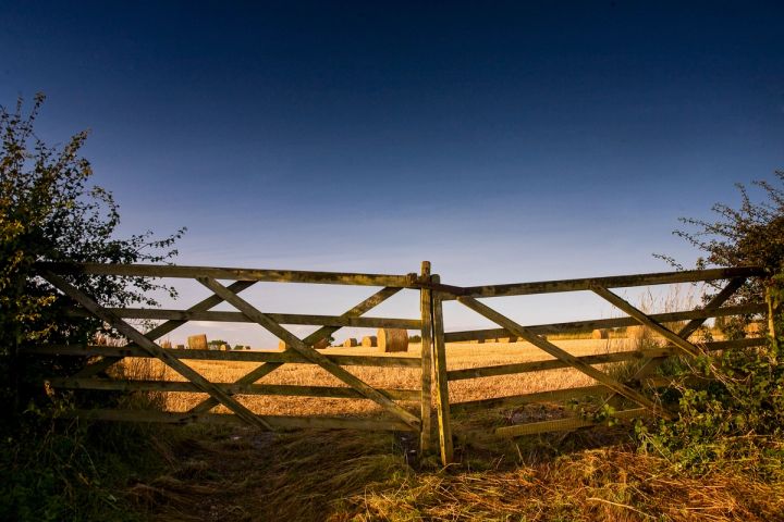The Field Gate at Harvest