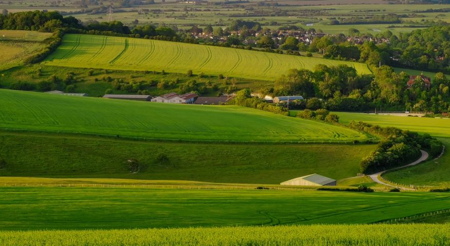 Patchwork Fields below the Downs