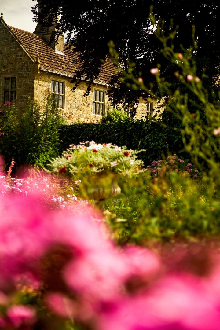 Azaleas by the Mansion