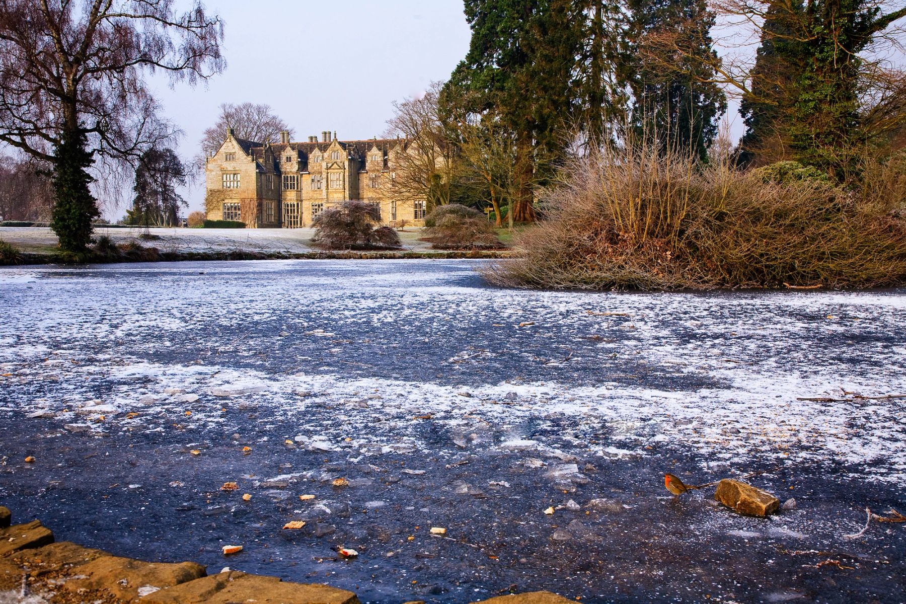Ice on the Mansion Pond, Wakehurst, Ardingly