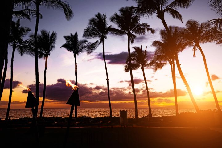 Tiki Torches and Palms