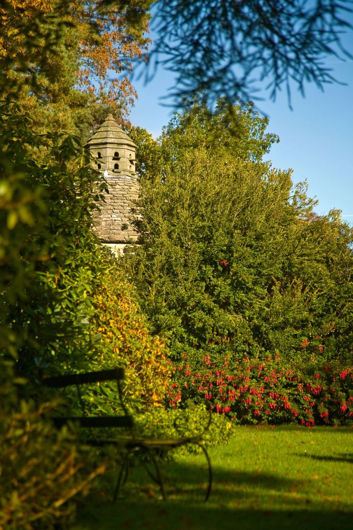 Dovecote in Summer
