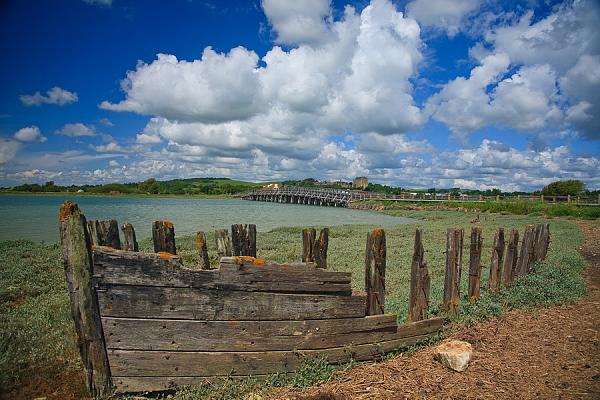 Summer by the Adur  2